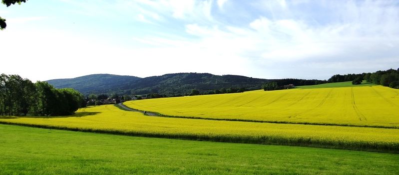 Imagebild: BUDISSA Agrarprodukte AG
