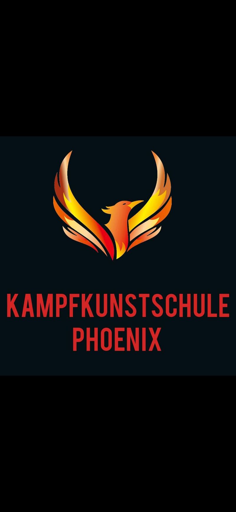 Imagebild: Kampfkunstschule Phoenix e.V.