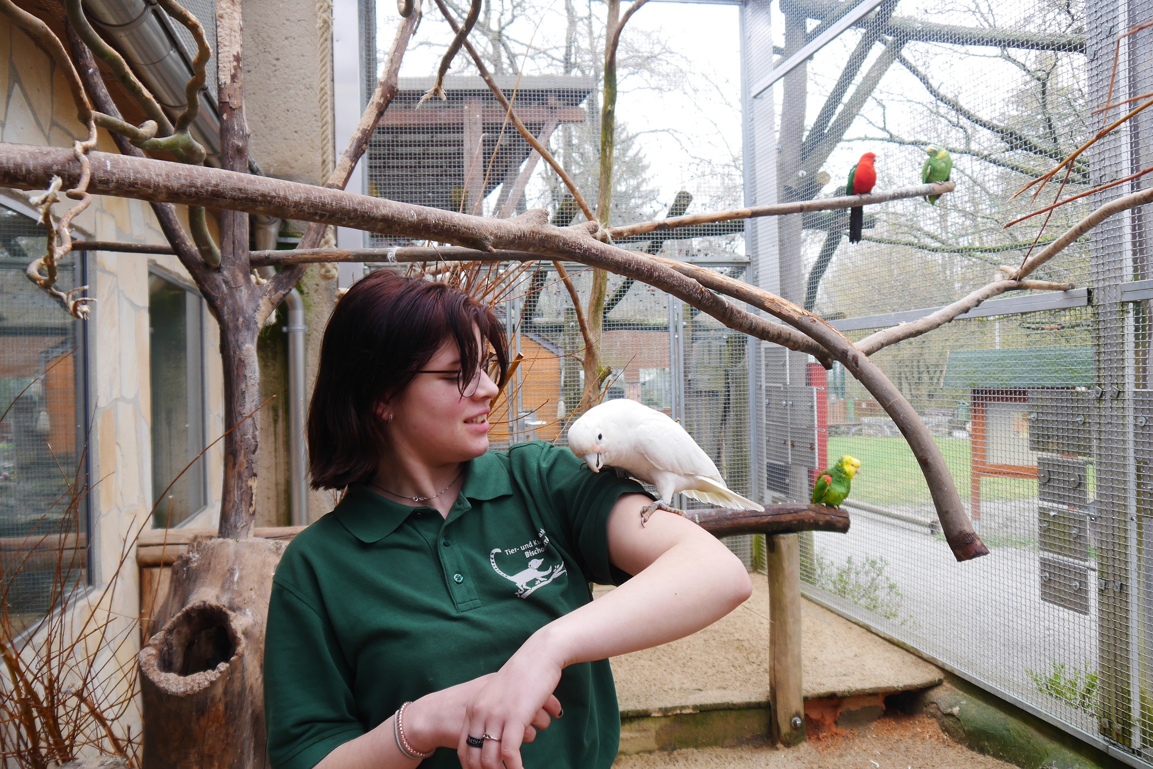 Bild zur Stelle FÖJ im Tierpark- und Kulturpark Bischofswerda - Bereich Tierpflege/Tierschutz (m/w/d)