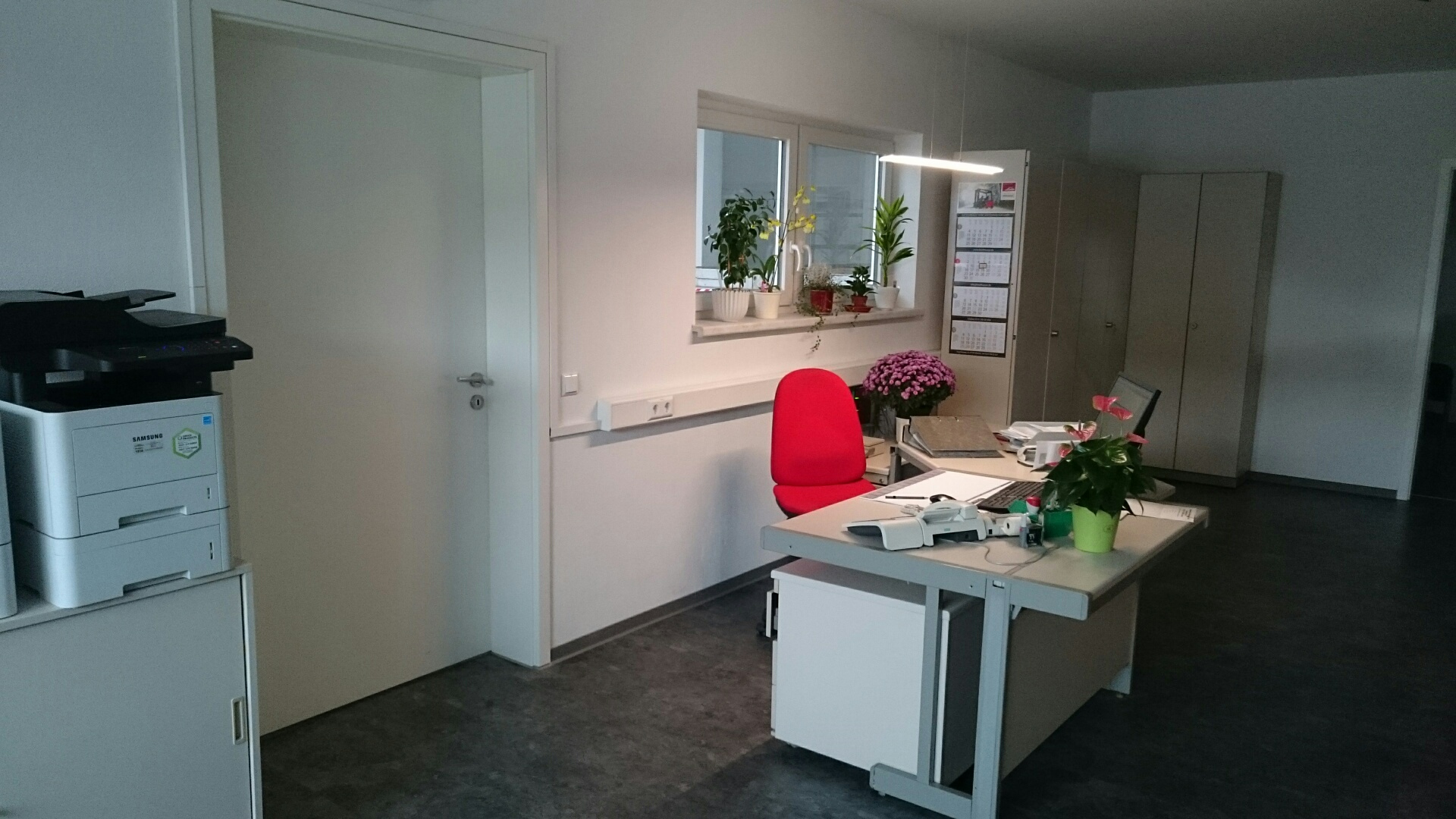 Bild zur Stelle Reinigungskraft (m/w/d)