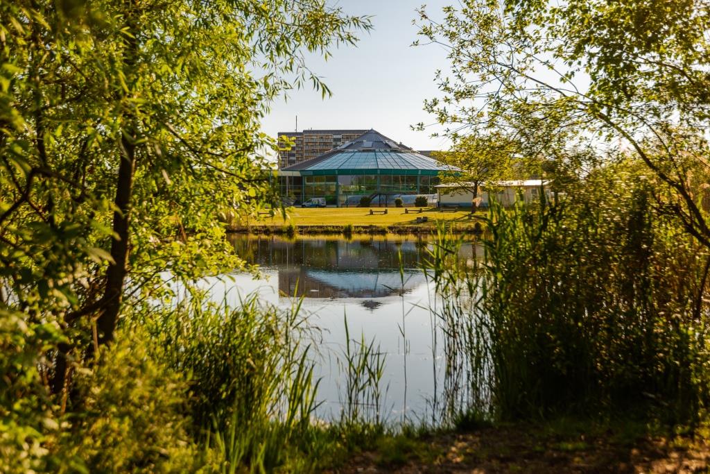 Bild zur Stelle Koch (m/w/d) für unser Lausitzbad Hoyerswerda