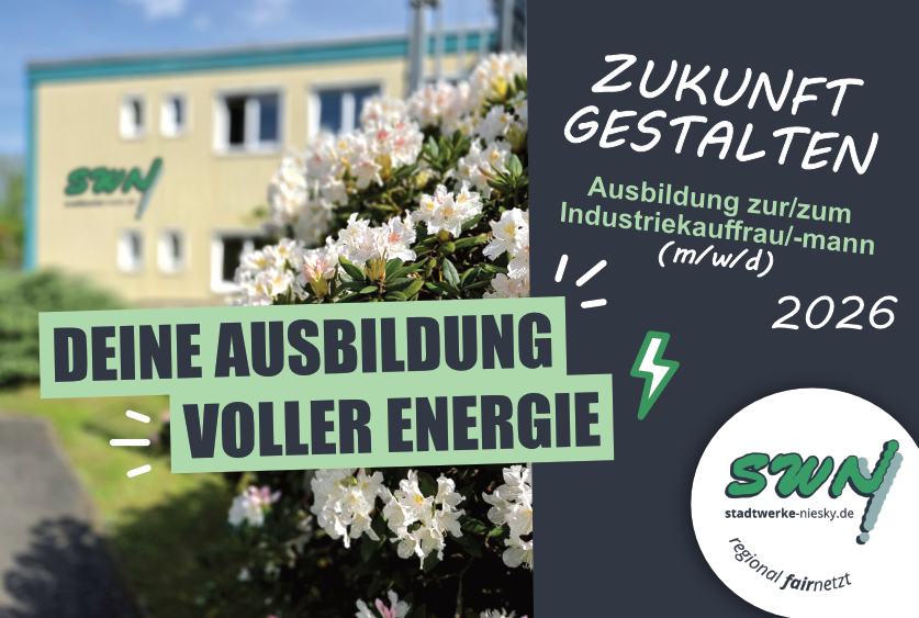 Bild zur Stelle Ausbildung zur/zum Industriekauffrau/-mann (m/w/d)