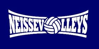 Bild zur Stelle EhrenamtlicherVolleyballtrainer (w/m/d) 