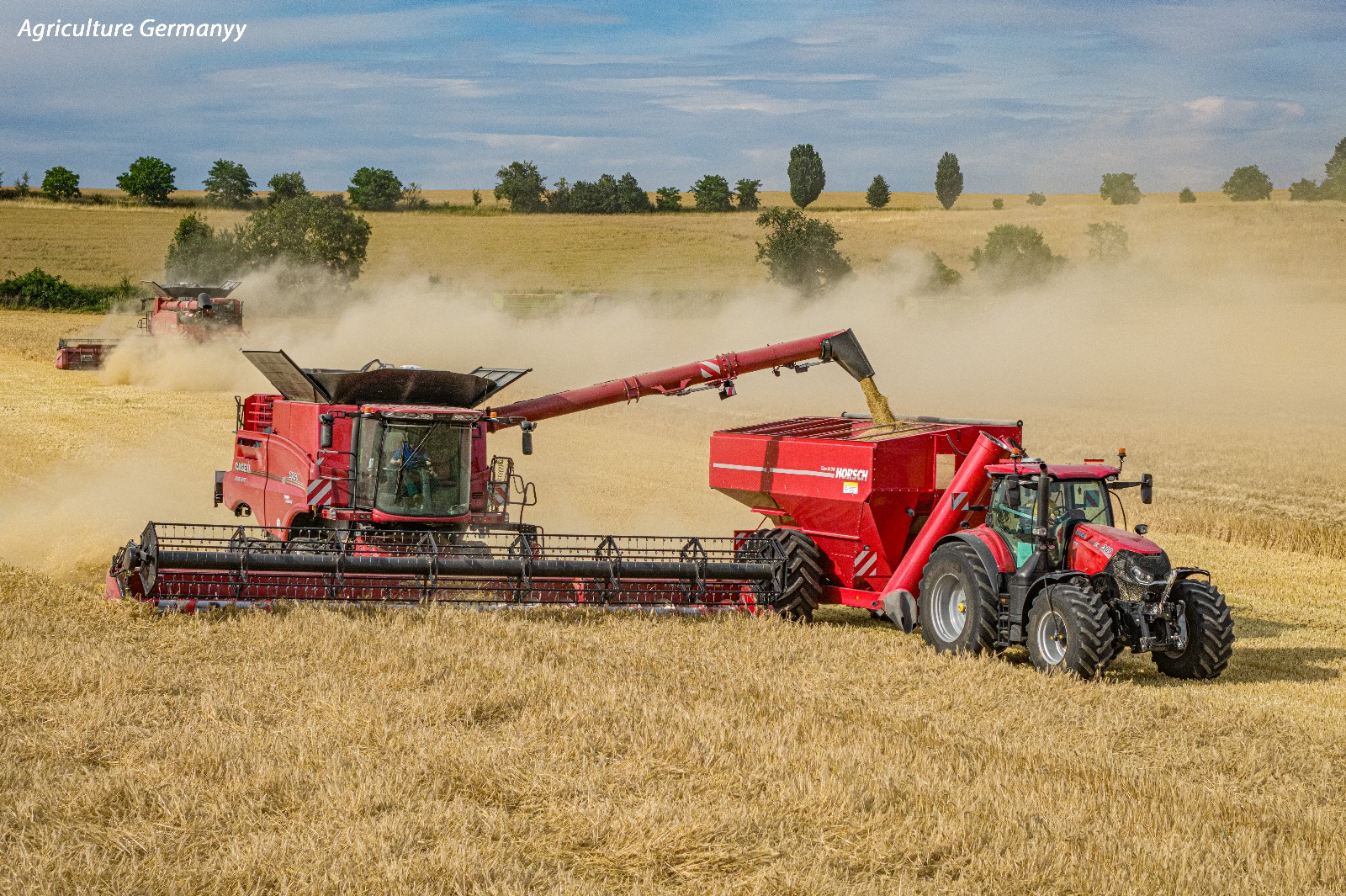 Bild zur Stelle Ausbildung Landwirt/in (w/m/d)  2026 