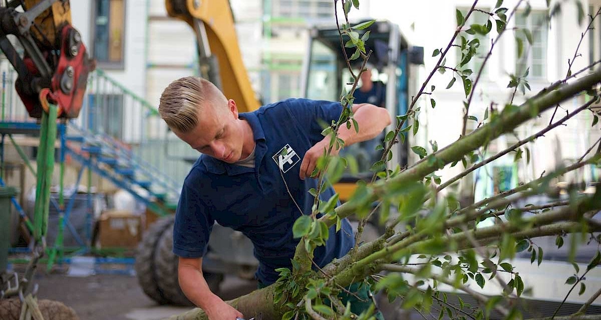 Ausbildung Gartner M W D Fachrichtung Garten Und Landschaftsbau