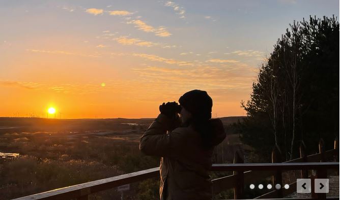 Bild zur Stelle FÖJ im LUPUS Institut für Wolfsmonitoring und Forschung in Deutschland